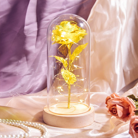 Valentine Gift Beauty and The Beast Preserved Roses In Glass Galaxy Rose Flower LED Light Artificial Flower Gift for Women Girls