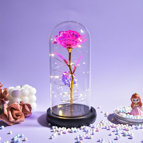 Valentine Gift Beauty and The Beast Preserved Roses In Glass Galaxy Rose Flower LED Light Artificial Flower Gift for Women Girls