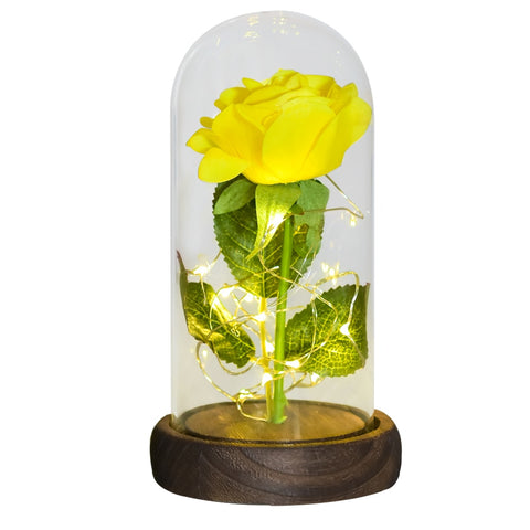 Valentine Gift Beauty and The Beast Preserved Roses In Glass Galaxy Rose Flower LED Light Artificial Flower Gift for Women Girls