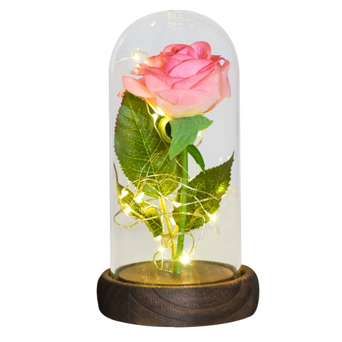 Valentine Gift Beauty and The Beast Preserved Roses In Glass Galaxy Rose Flower LED Light Artificial Flower Gift for Women Girls