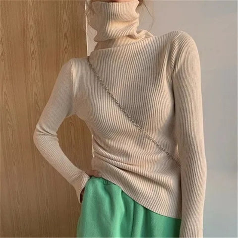 Women heaps collar Turtleneck Sweaters Autumn Winter Slim Pullover Women Basic Tops Casual Soft Knit Sweater Soft Warm Jumper